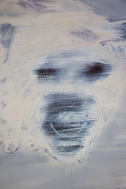 Oso